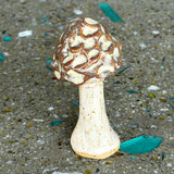 Ceramic Mushrooms by Mehgan on the Moon
