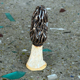 Ceramic Mushrooms by Mehgan on the Moon