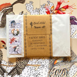 Desert Pop Postcard Pack by Aall Forms of Life