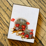 Botanical Cactus Key Hangers by DDco Design