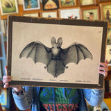 Vintage Animal Cabinet Doors by DDco Design