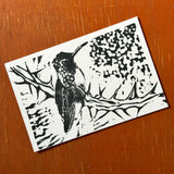 Desert Bird Postcards by Drifting Venus