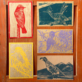 Desert Bird Postcard Sets by Drifting Venus