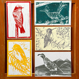 Desert Bird Postcard Sets by Drifting Venus