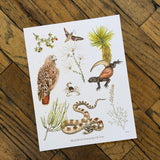Art and Biology, 8x10 Prints by Aall Forms of Life