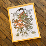 Framed Art Prints by Marcy Ellis