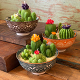 Succulent Candle Gardens by MamaBareAZ