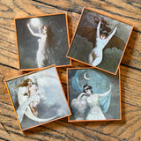 Coaster Set of 4 By DDco Design