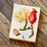 Botanical Cactus Key Hangers by DDco Design