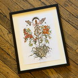 Framed Art Prints by Marcy Ellis