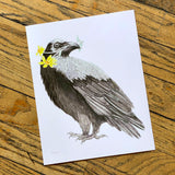 Art and Biology, 8x10 Prints by Aall Forms of Life
