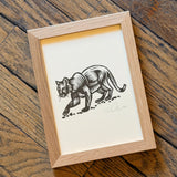 Framed Sonoran Specimens Prints by Westerner Studio