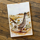 Desert Animal Cabinet Doors by DDco Design