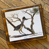 Desert Animal Cabinet Doors by DDco Design