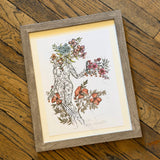 Framed Art Prints by Marcy Ellis