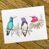 Art and Biology, 8x10 Prints by Aall Forms of Life