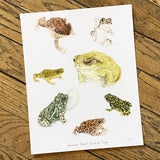Art and Biology, 8x10 Prints by Aall Forms of Life