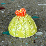 Ceramic Cacti by Mehgan on the Moon