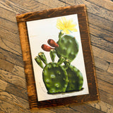 Succulents Cabinet Doors by DDco Design