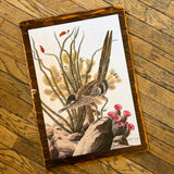 Desert Animal Cabinet Doors by DDco Design