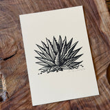 Sonoran Specimens Prints by Westerner Studio