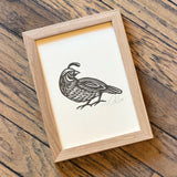 Framed Sonoran Specimens Prints by Westerner Studio