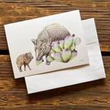 Sonoran Desert Notecards by Aall Forms of Life