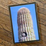 Desert Animal Cabinet Doors by DDco Design