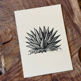 Sonoran Specimens Prints by Westerner Studio