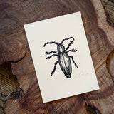 Sonoran Specimens Prints by Westerner Studio