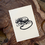 Sonoran Specimens Prints by Westerner Studio