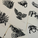 Sonoran Specimens Prints by Westerner Studio