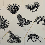 Sonoran Specimens Prints by Westerner Studio