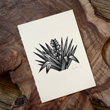 Sonoran Specimens Prints by Westerner Studio