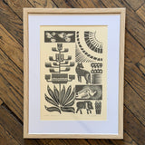 Framed Desert Details Prints by Westerner Studio