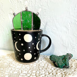 Stained Glass Cactus by Goodness Glass