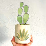 Stained Glass Cactus by Goodness Glass