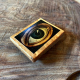 Scrap Wood Eye Magnets by DDCo Design