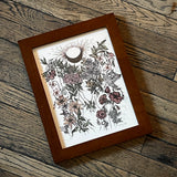 Framed Art Prints by Marcy Ellis