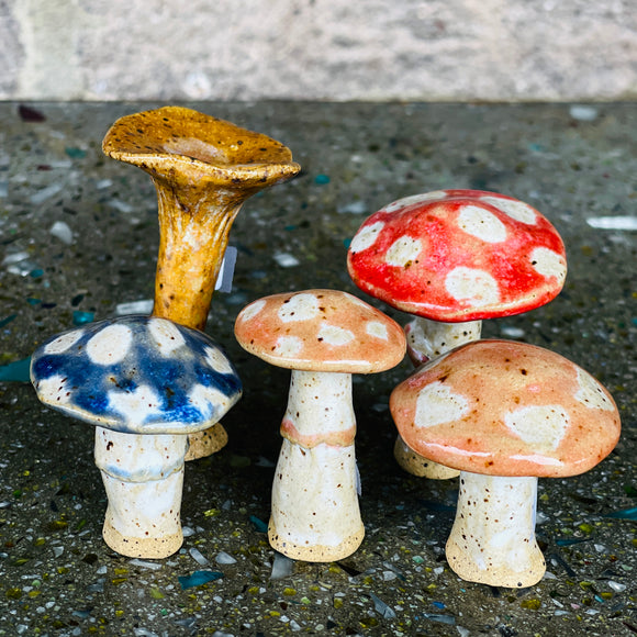 Ceramic Mushrooms by Mehgan on the Moon