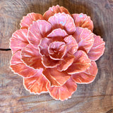 Ceramic Flora by Pottery by Jodi