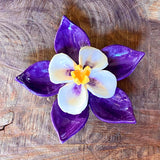 Ceramic Flora by Pottery by Jodi