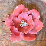 Ceramic Flora by Pottery by Jodi