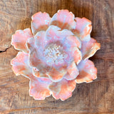 Ceramic Flora by Pottery by Jodi
