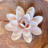 Ceramic Flora by Pottery by Jodi