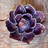 Ceramic Flora by Pottery by Jodi