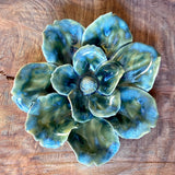 Ceramic Flora by Pottery by Jodi