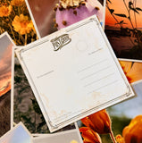 Wildflowers On The Rillito Postcards by Libby Tobey