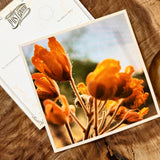 Wildflowers On The Rillito Postcards by Libby Tobey