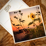Wildflowers On The Rillito Postcards by Libby Tobey
